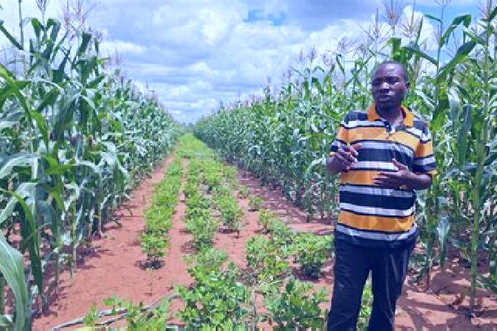 Book of Aztec King online slot