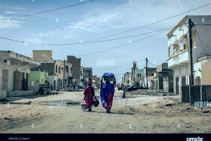 Book of Chickens slot machine