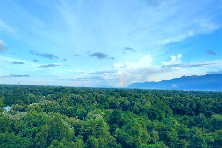 Candy Gala slot machine