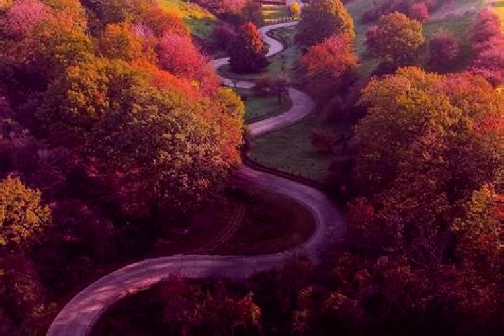 Celestial Revolutions slot machine