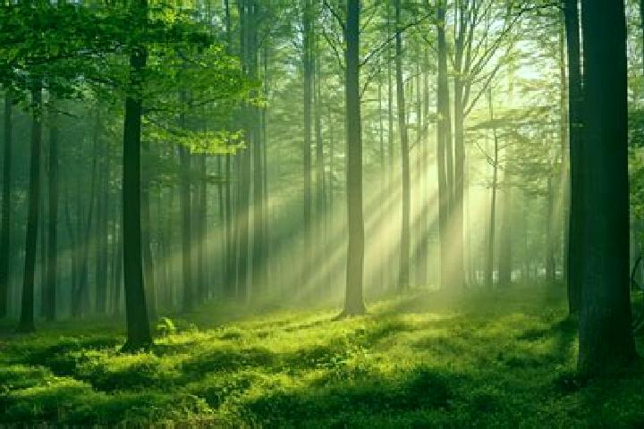 Coin Flip (Blaze Originals) slot game