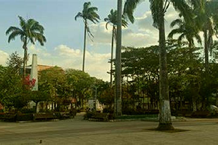 Crypto Degens online slot