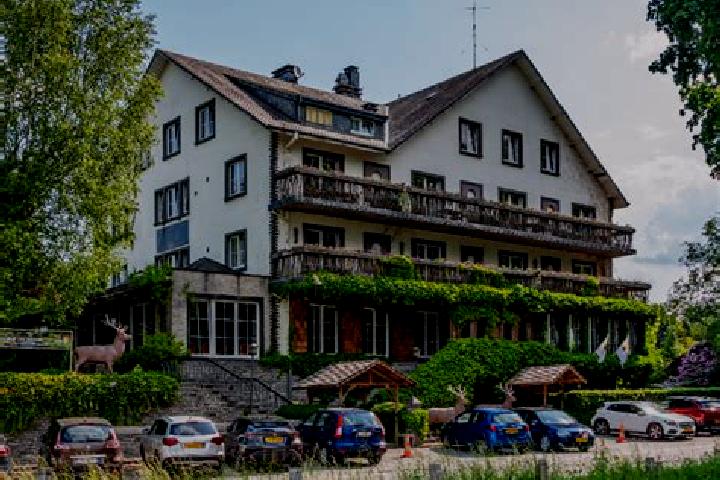 Dino Reels 81 online slot