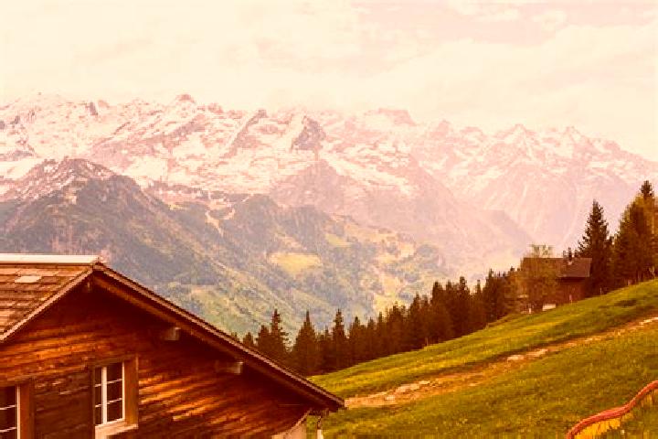 Dizzy Hot slot game