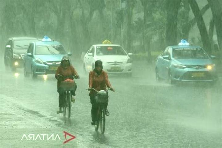 Dolphin Reef: Super Bonus slot machine