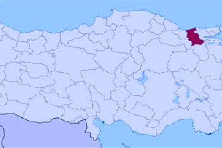 Eagle Shadow Fist slot machine