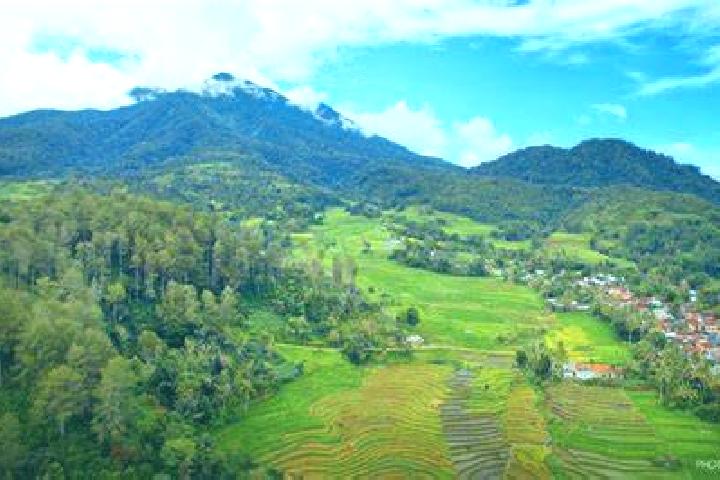 In For 6! Blackjack slot machine