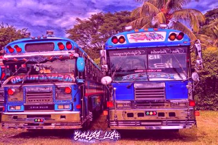 Indian Wolf slot machine
