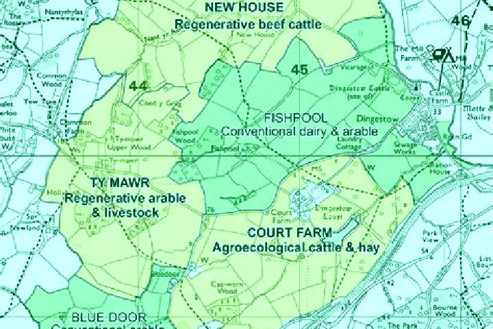 Jungle King (Jili Games) slot machine