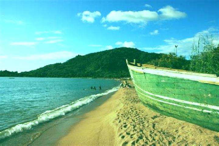 King X slot machine