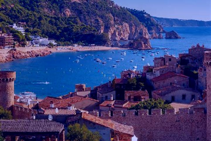 Meerkat Misfits slot game