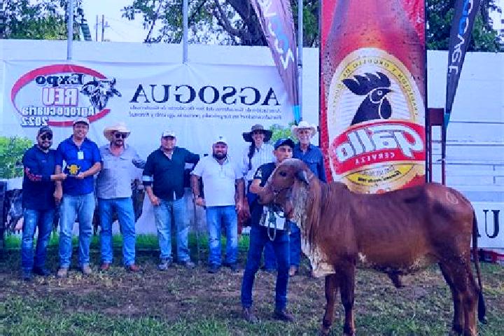 Merlin’s Magical Mayhem slot machine