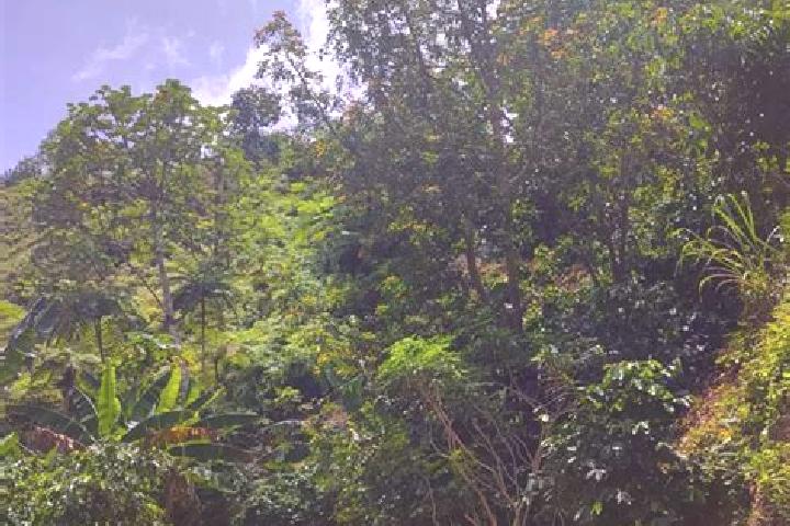 Moon Princess Stargazing slot machine