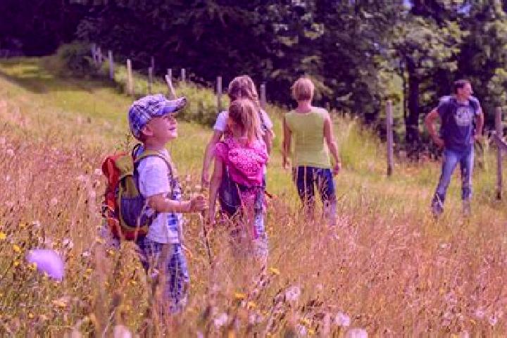 Ocean Carnival slot game