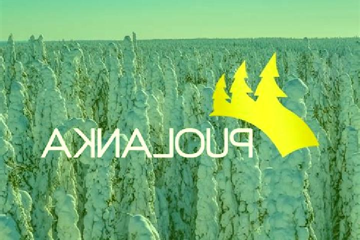 Orphan Organ slot