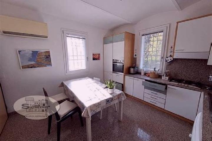 Queen of the Amazon slot game
