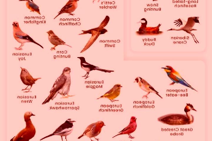 Random Winner Triple Play online slot