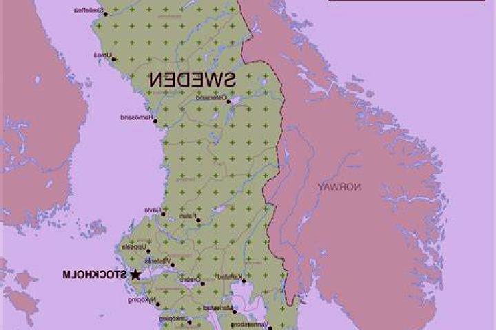 Scratch Foxin Wins slot machine