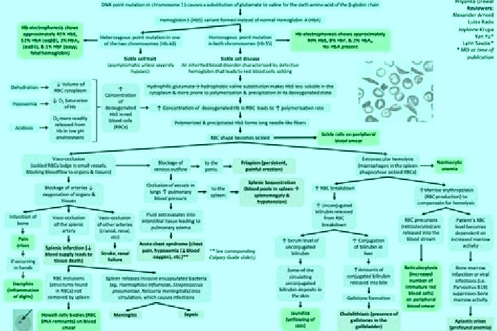 Shadow Summoner Elementals online slot