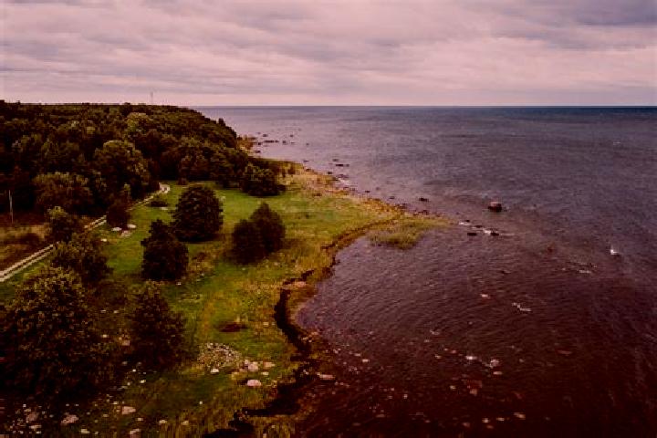 Steel Greezly slot game