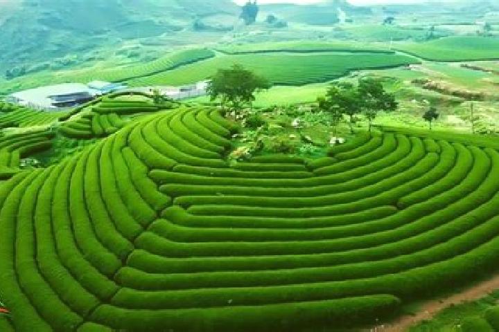 Video Roulette (Elbet) slot machine