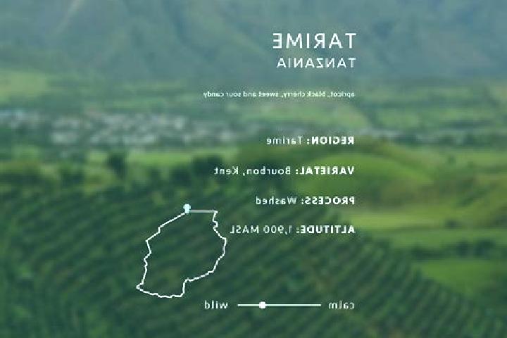 Whacked! slot