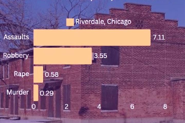 Wild Japan slot game