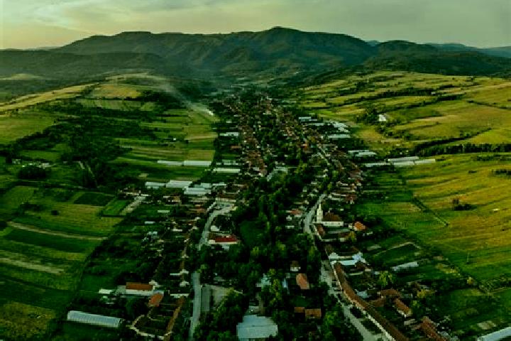 Wild Kangaroo Spins slot machine