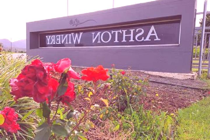 Wildscapes Scratch slot game
